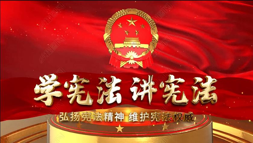 救援狗与猫